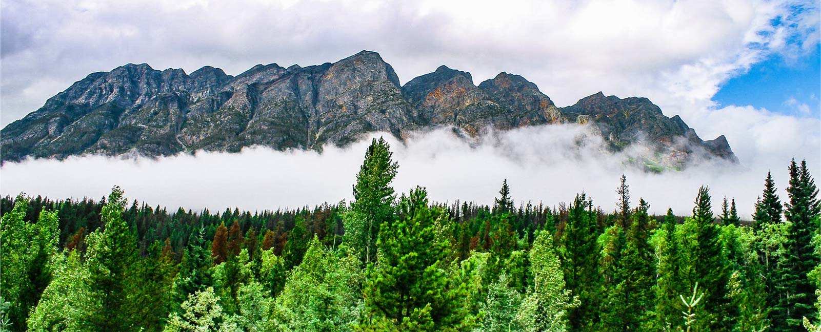Tecnologia Co. de materiais sintéticos de Zhejiang Zhongli, Ltd.